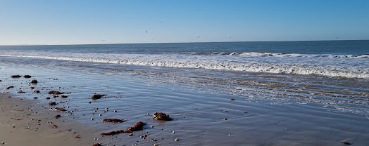 Noirmoutier – Barbâtre Cove